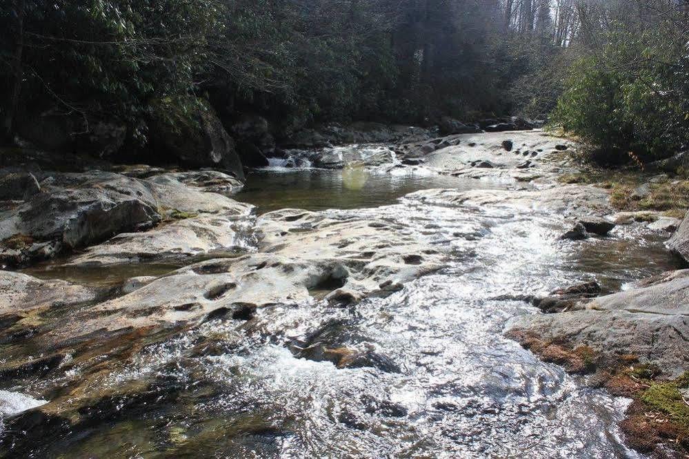 The Yellow House On Plott Creek Waynesville Ngoại thất bức ảnh